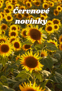 Červnové novinky z Metafory